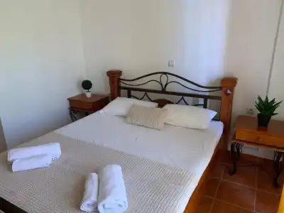 Guesthouse Orlović - 9