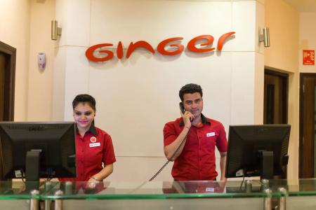 Ginger Jaipur - 29
