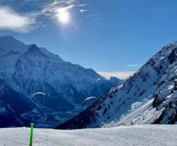 Le Labrador - 28