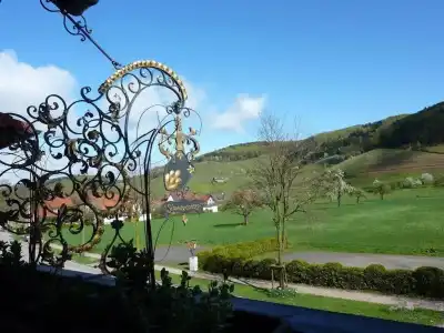 Hotel-Gasthaus Goldener Engel - 15