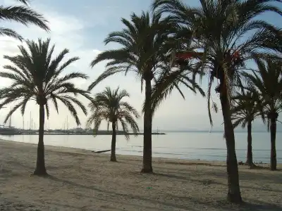 BLUESEA Mediodia - 37