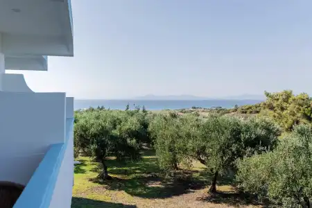 Summer View - 42