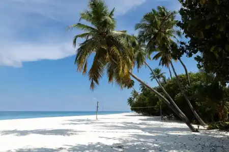 Manta Reserve - 7