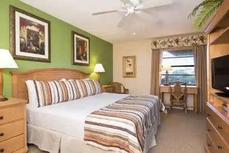 Park Shore Resort - 73