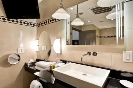 The Cincinnatian Curio Collection by Hilton - 67