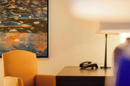 Hilton Frankfurt Gravenbruch - 196