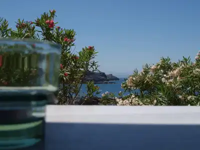 Georgia Vicky - 14