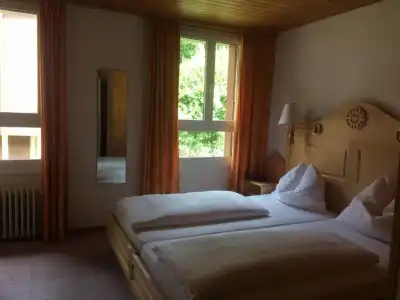 Bellevue - Traditional Swiss Hideaway - 60