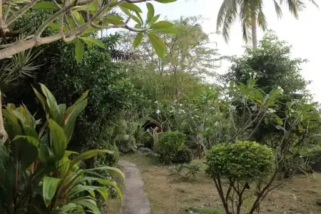 Sairee View Resort - 11