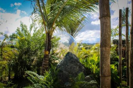 Green Land Bubble Glamping - 18