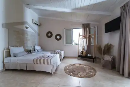 Le Palme - 65