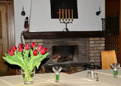 AlpenBeslhof - 18