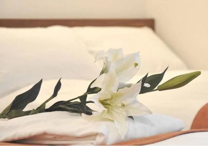 HOTEL NOAH - 2