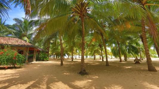 Mangrove Beach Chalets - 31