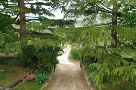 Relais Villa Belpoggio - Residenza d'Epoca - 75