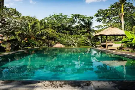 Ubud Sari Health Resort - 8