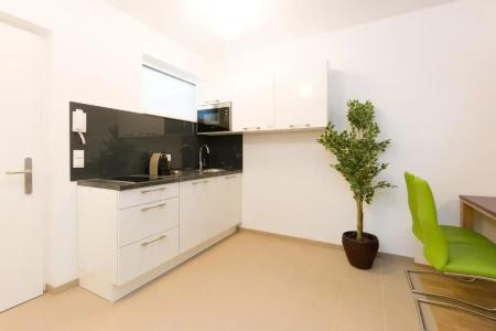 Vienna Stay Apartments Tabor 1020 - 99