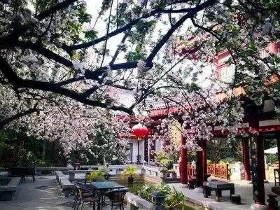 Tang Dynasty Art Garden - 12