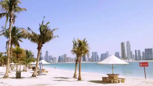 Zain International - 7