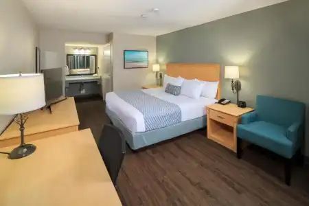 Stylish 1-Bedroom Suite with Modern Amenities - 21