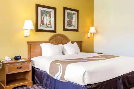 Rodeway Inn Clearwater - Central - 47