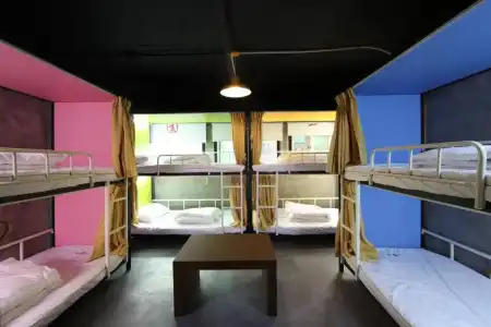 Calli Hostel - 33