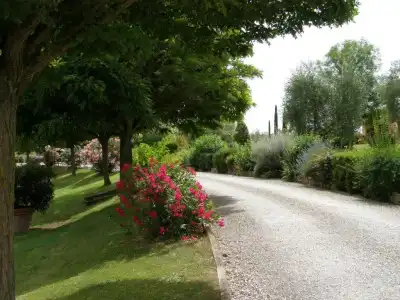 Agriturismo Verbena - 19