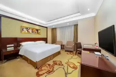 Vienna Dongguan Houjie Exhibition Center - 0
