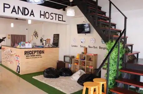 Mad Panda Hostel - 9
