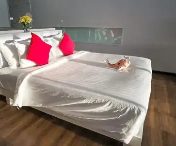 The Houben, Adult Only - 202