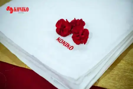 Koniko - 18