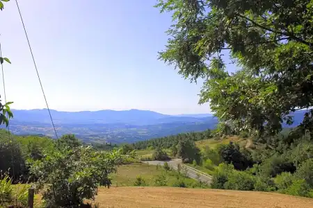B&B Vista Casentino - 11