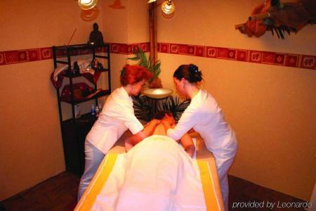 Ahorn Harz Braunlage - 29