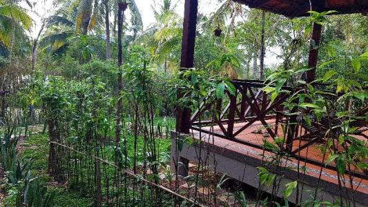 Phu Quoc Eco Beach Resort - 63