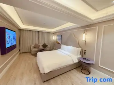 Mercure Xi'an Downtown - 87