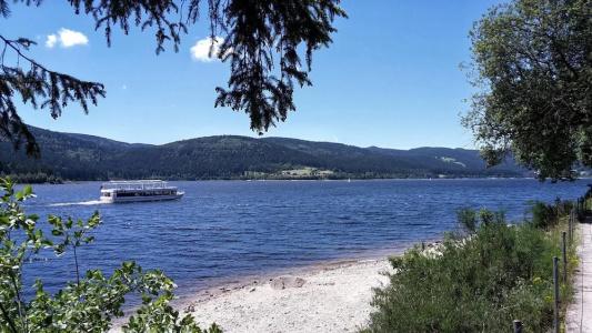 Hochschwarzwaldhof - 15