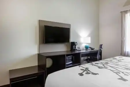Sleep Inn & Suites Tampa South - 42