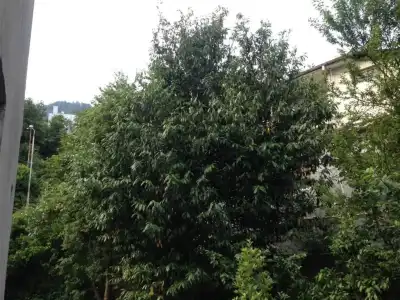 Mari Guest House - 10