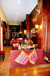 Le Gecko - 19