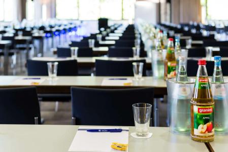 Park Plaza Trier, Germany - 11