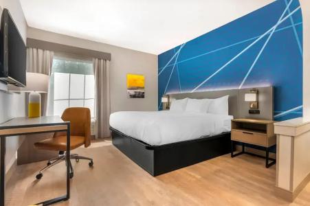 Comfort Inn & Suites Saint Louis Lafayette Square - 52