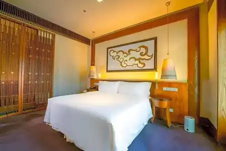 The St. Regis Lhasa Resort - 50