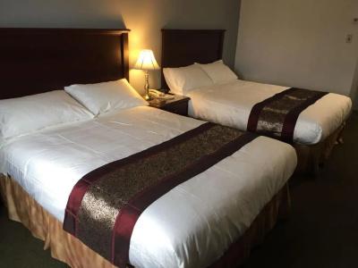 Repotel Levis - 21