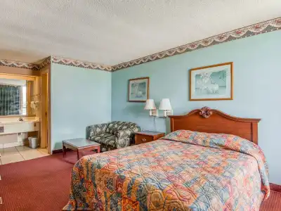 OYO O Jackson I-55 North - 30