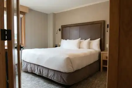 Moose And Suites - 5