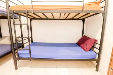 Arjuna 31 Homestay - 33