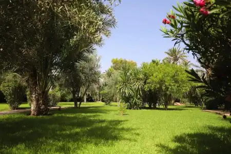 Villa Al Assala Palmeraie - Piscine chauffée - 56