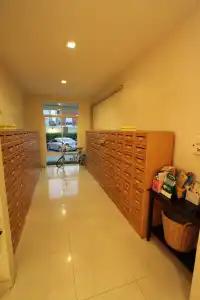 The Royal Bee Apart - 12
