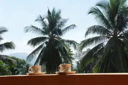 Anura Guest Inn - 39