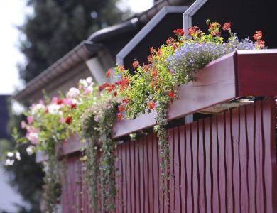 an der Sonne & Restaurant Zum Schneiger - 8